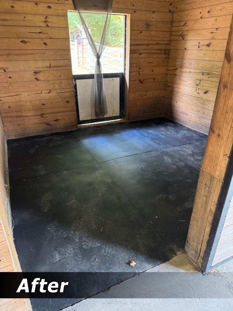 Freshly re-leveled and re-installed stall mats