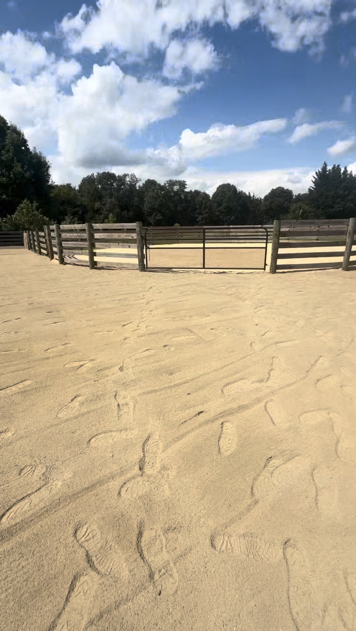 Freshly graded sand paddock with fence line