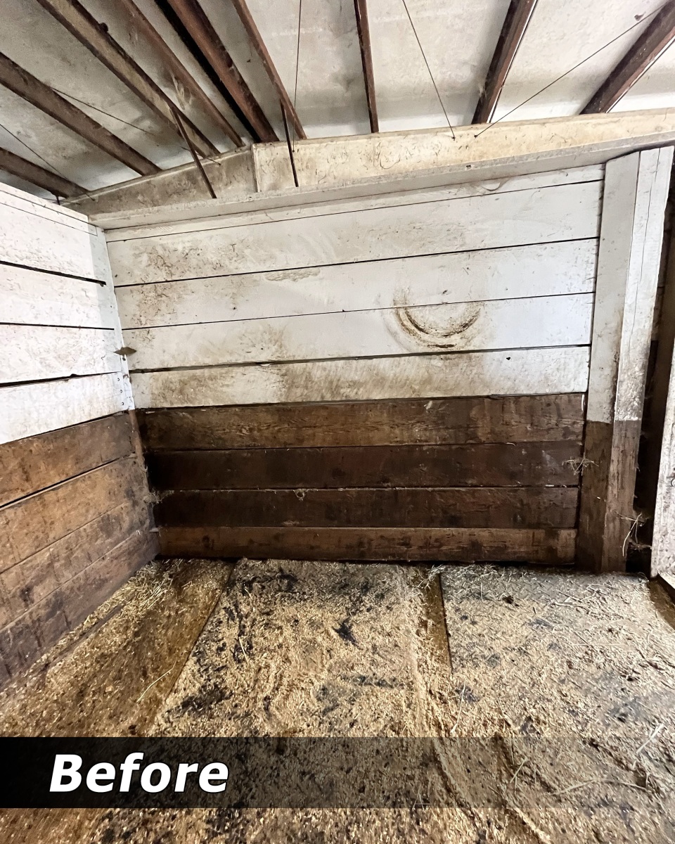 Stall walls before pressure washing