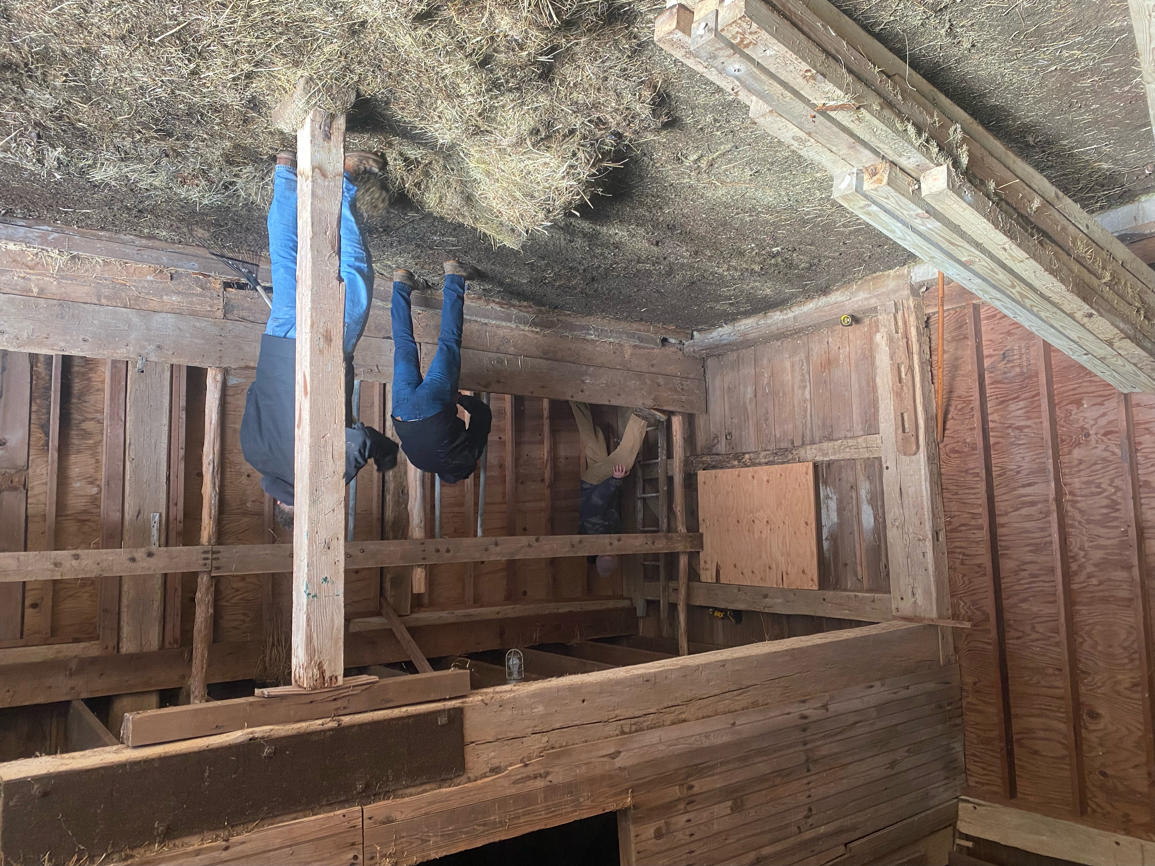 Crew mid-project on a full stall teardown and rebuild
