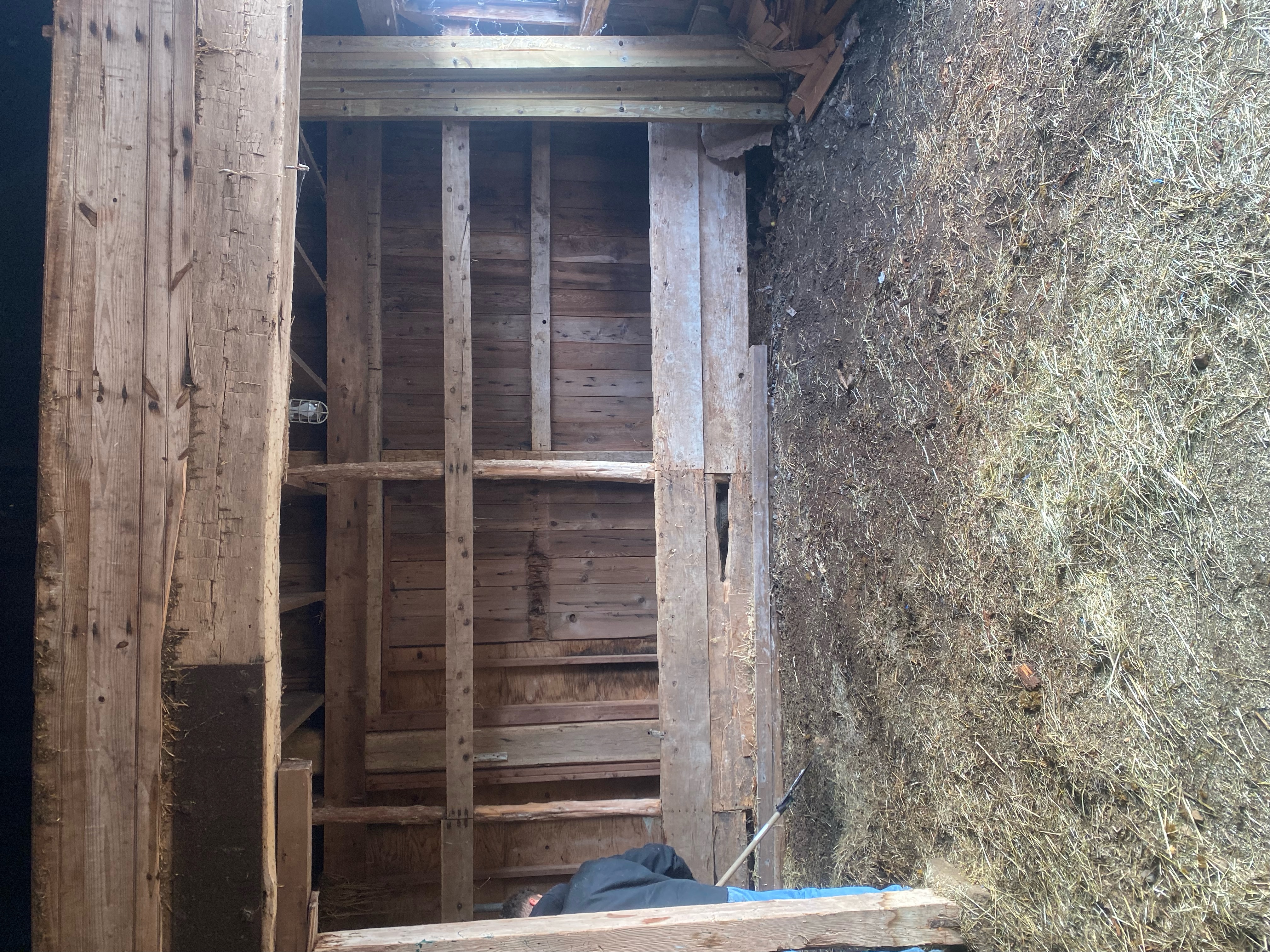 Exposed framing during a barn restoration project